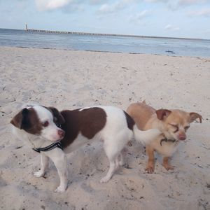 Meet your Posher, Ann